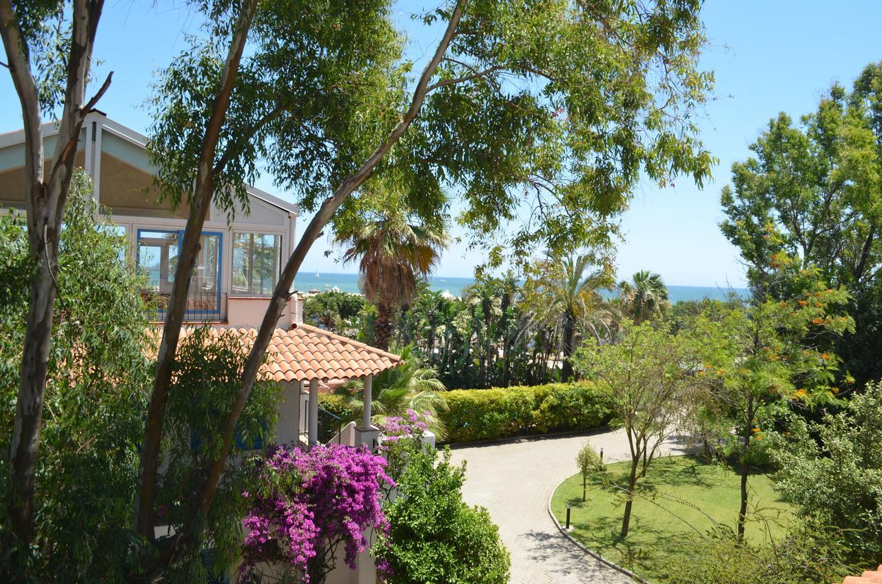 Suite Terrace