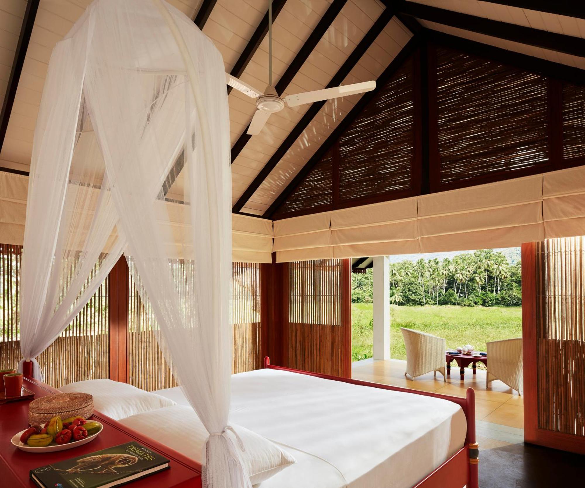 Wel Vidana – Paddy Field View