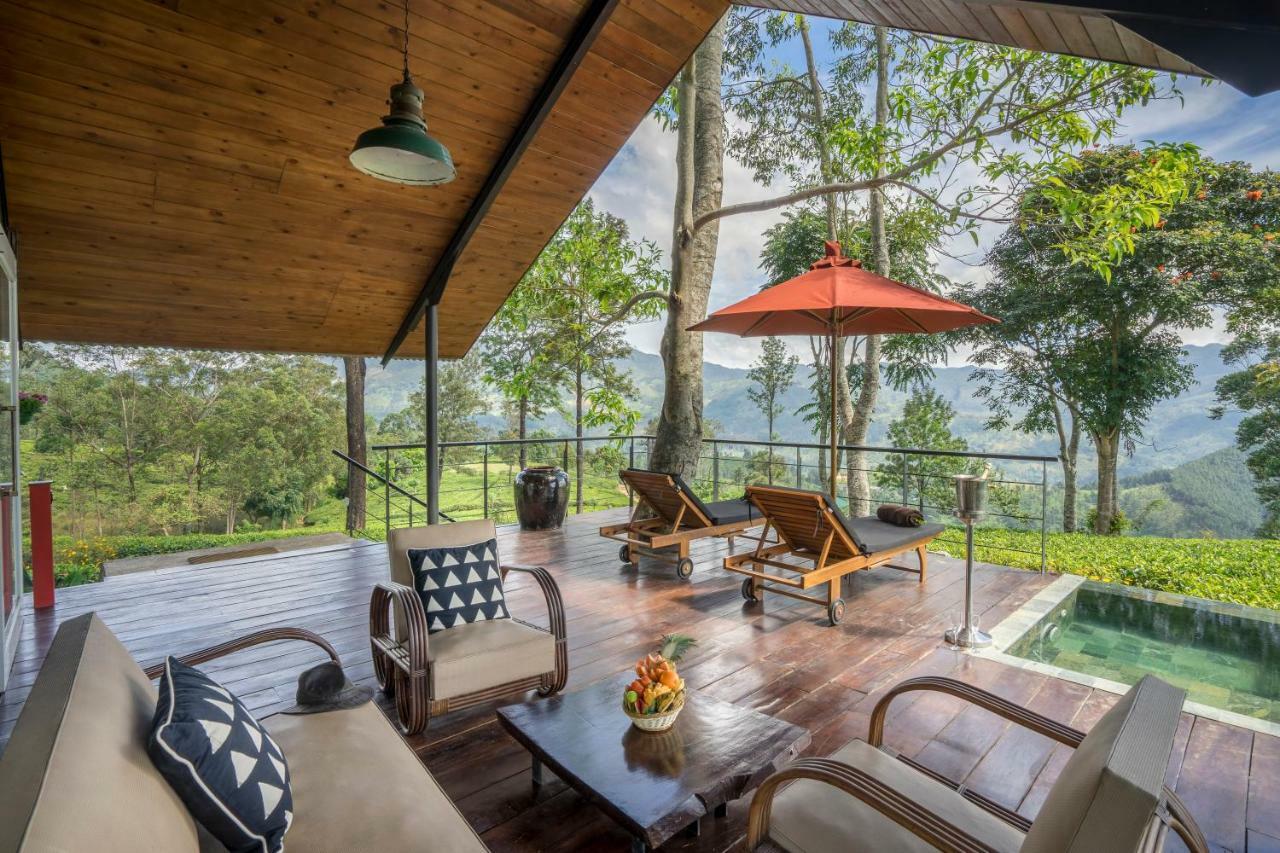 Suite Mountain View