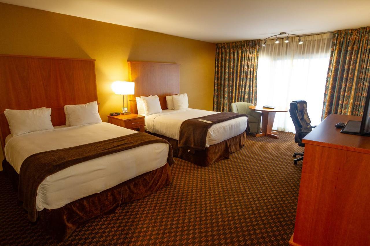 Executive Queen Room Two Queen Beds