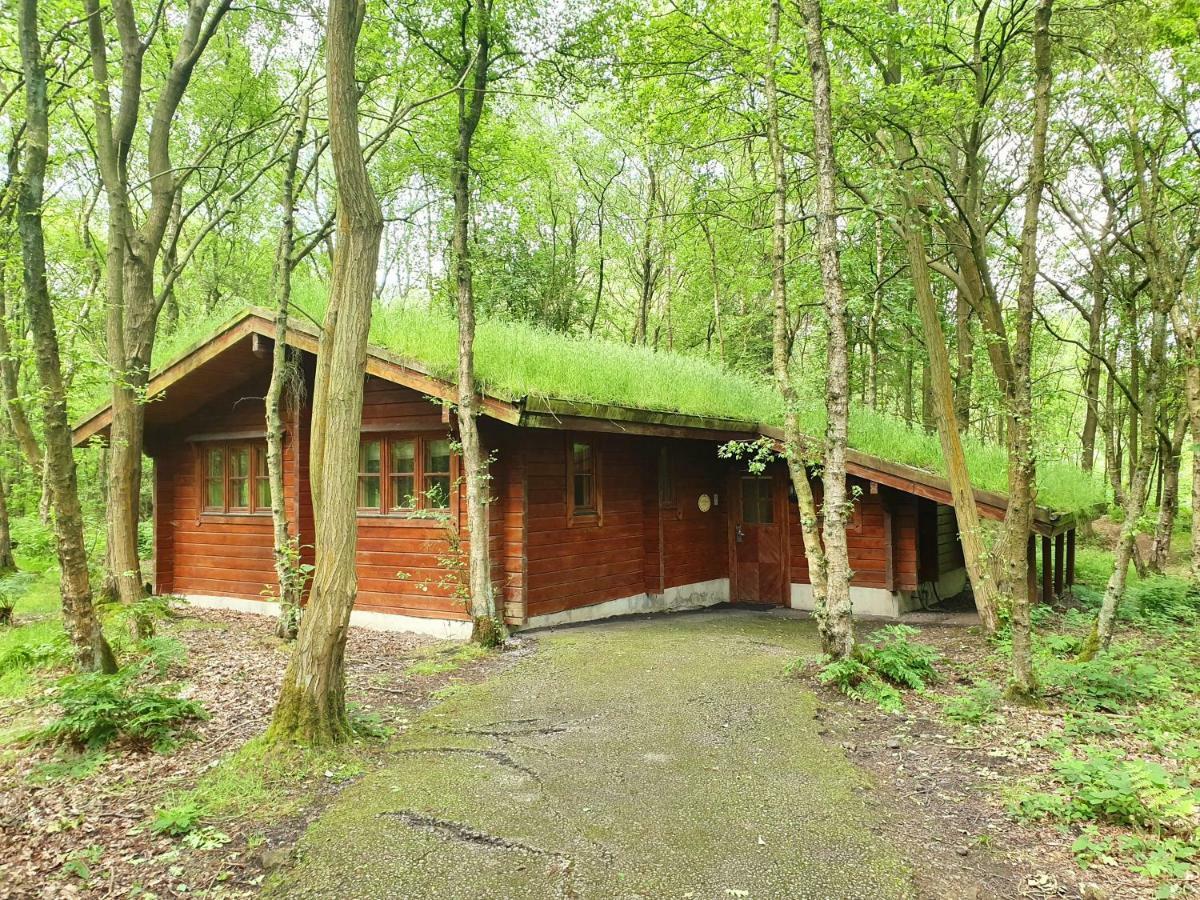 Woodland Lodge - self catering