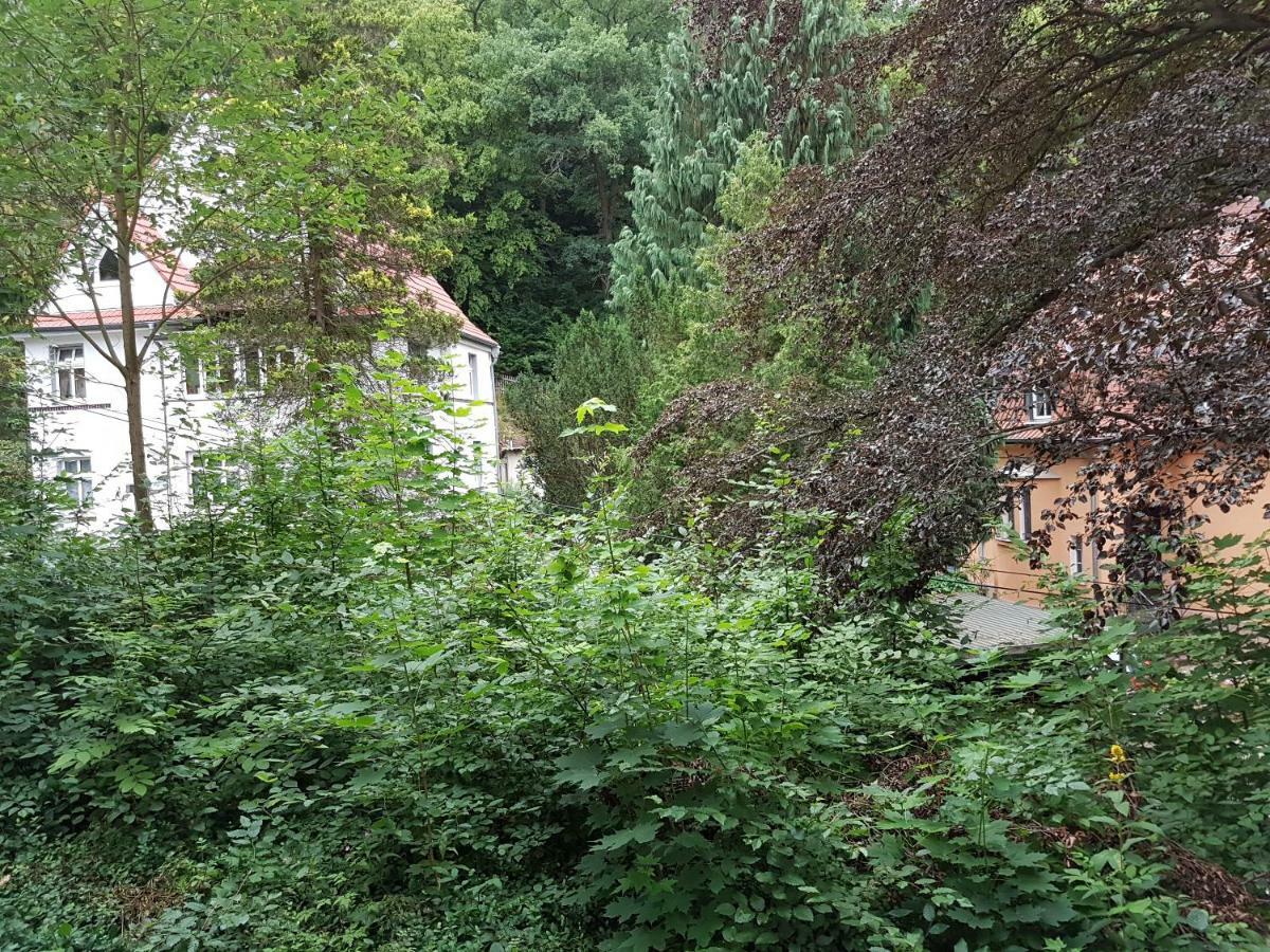 Doppelzimmer mit Gartenblick