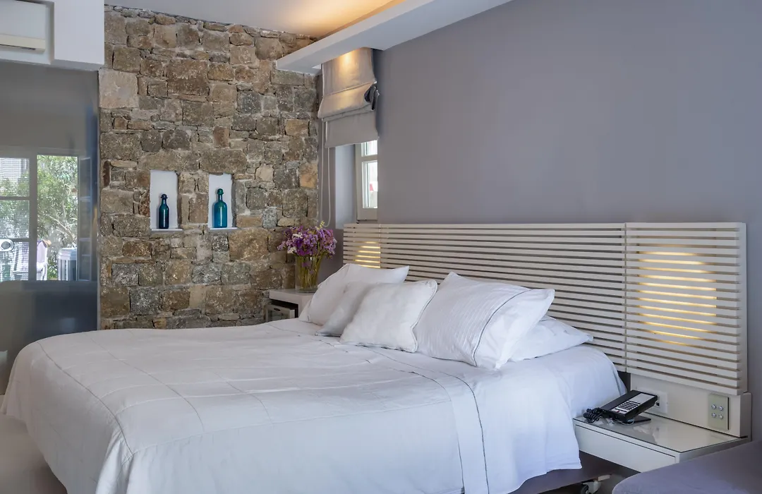 Semeli Hotel Mykonos-1