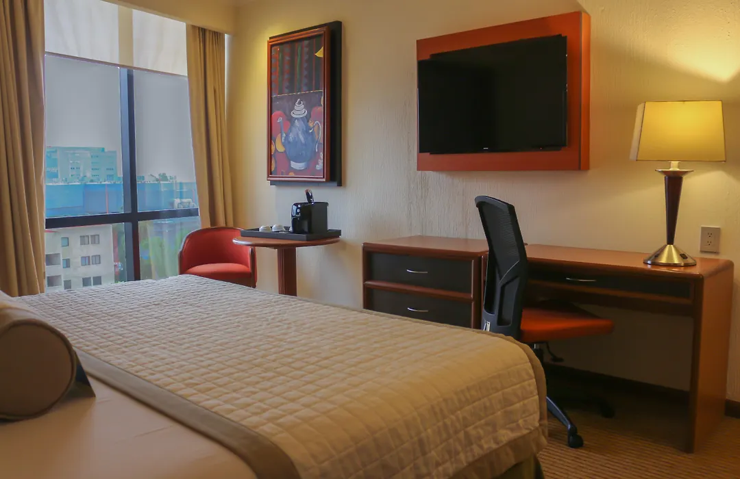 Hotel Guadalajara Plaza Expo-1