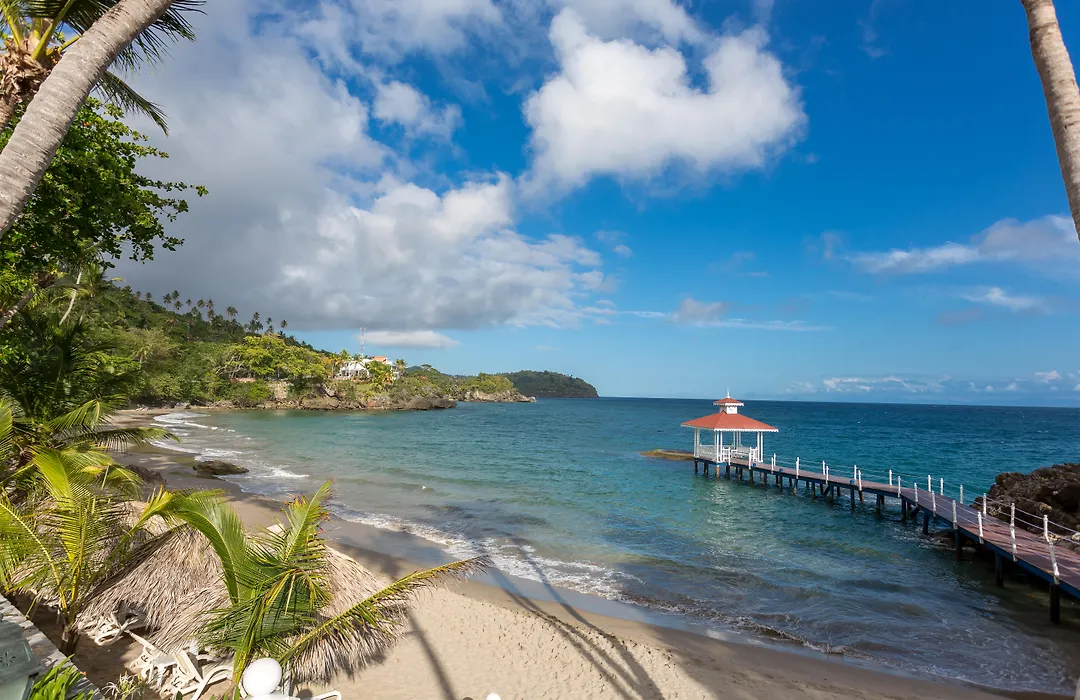 Bahia Principe Escape Samaná - Hyatt Inclusive Collection - Adults Only-1
