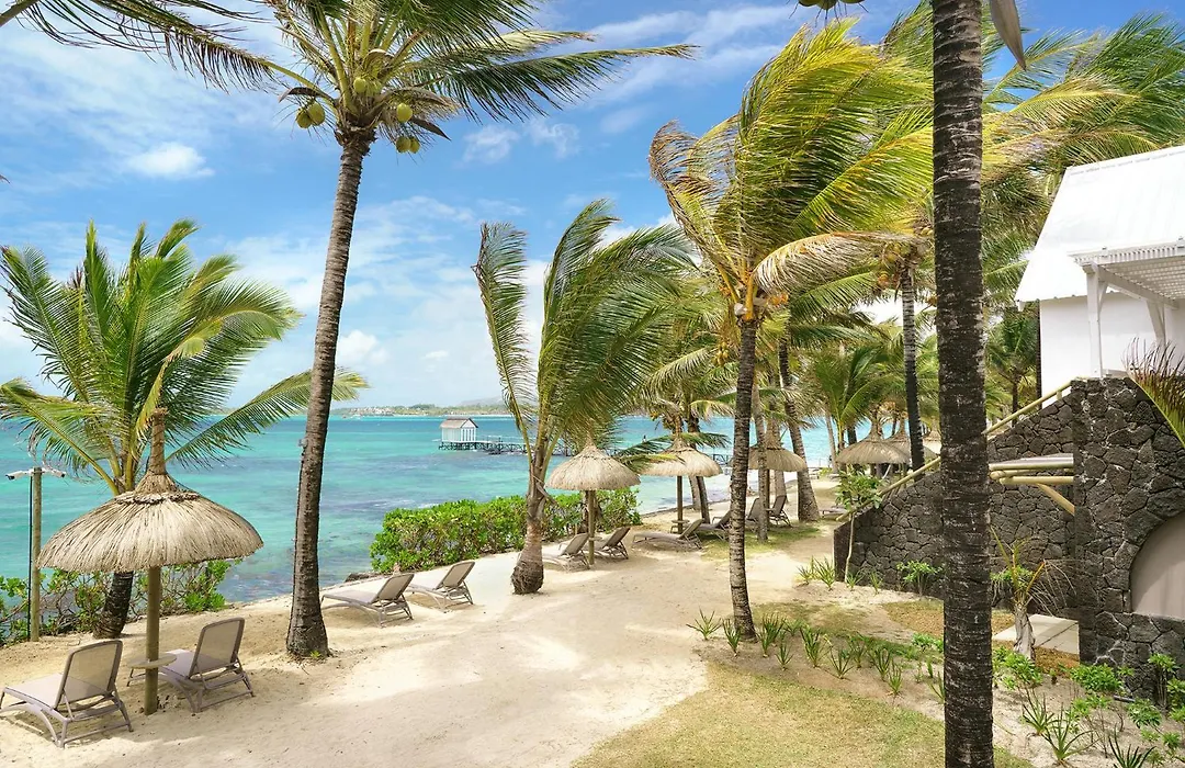 Tropical Attitude (Adults Only)-1