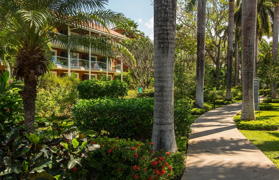 Occidental Tamarindo - All Inclusive-1