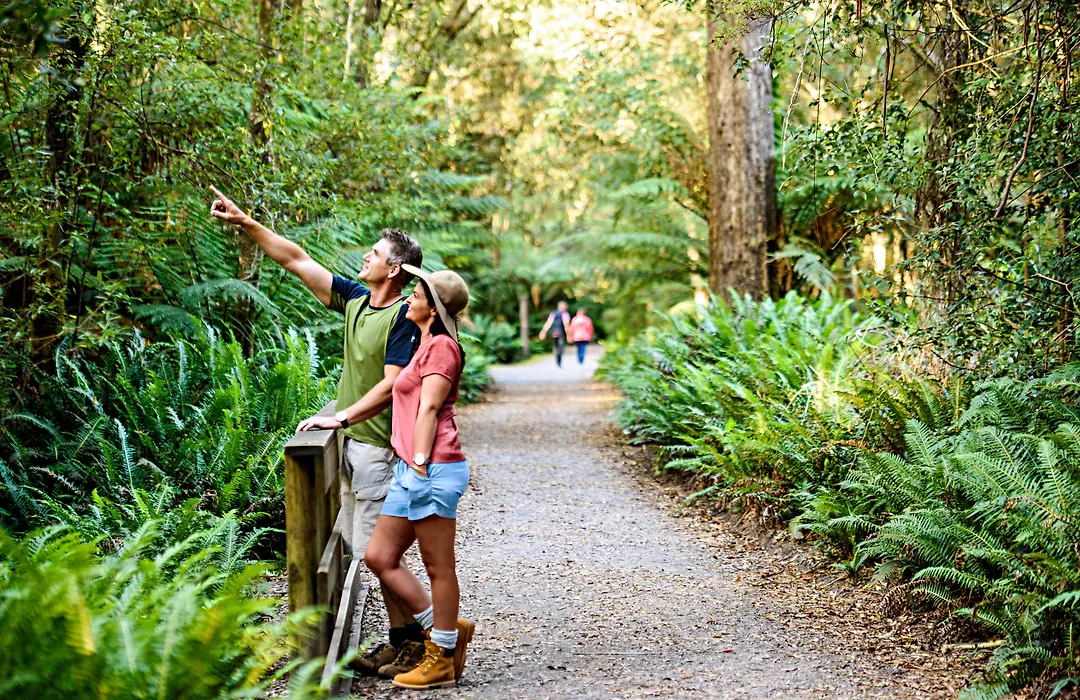 Strahan Village-1