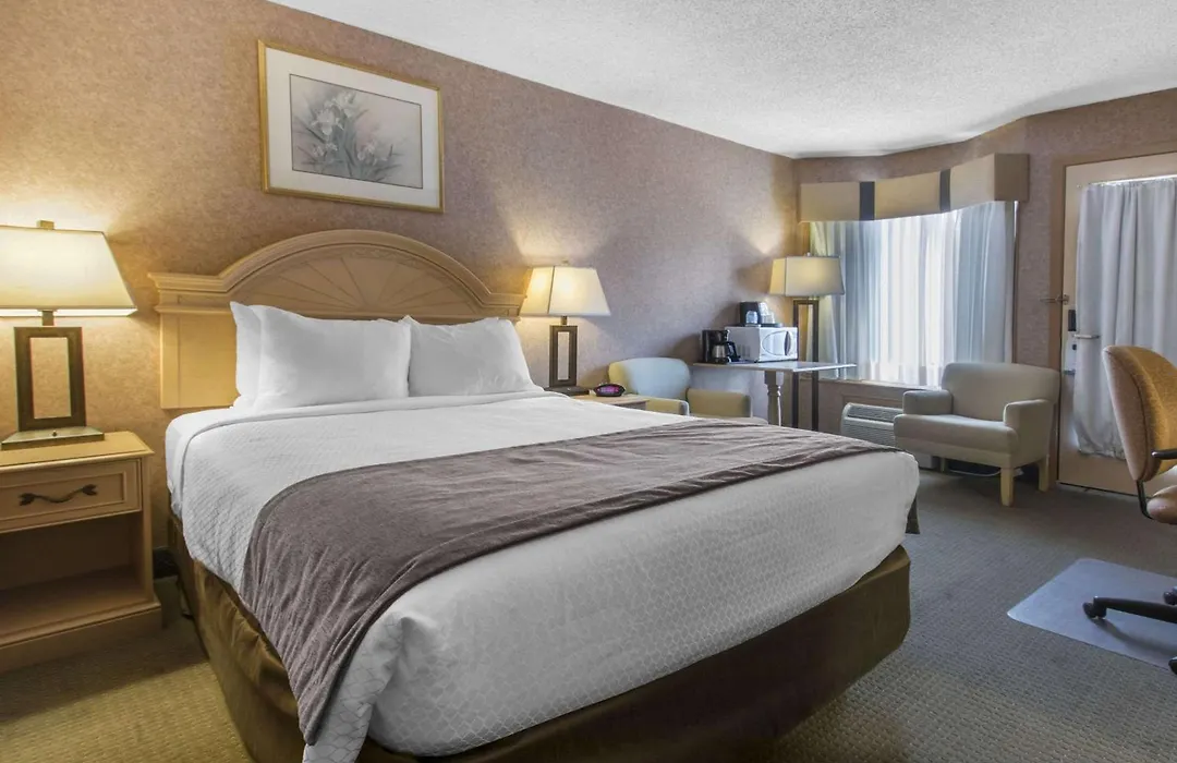 Flamingo Hotel-1