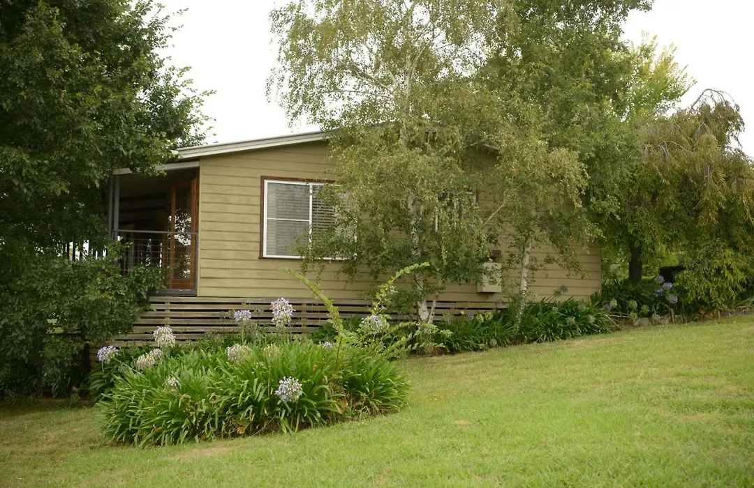 Borrodell Vineyard-1