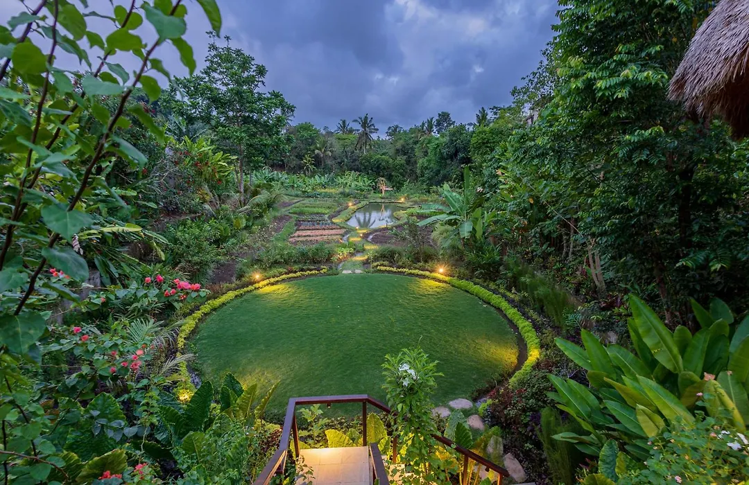 Fivelements Retreat Bali, Ubud-1