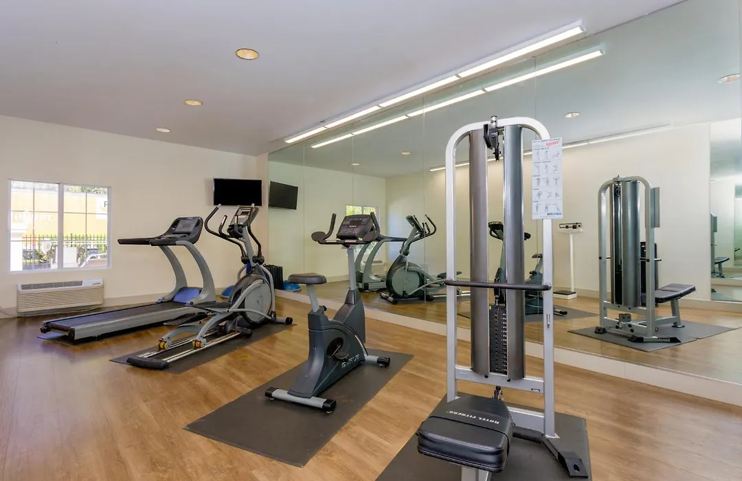 Holiday Inn Express Tampa North Telecom Park By Ihg-1