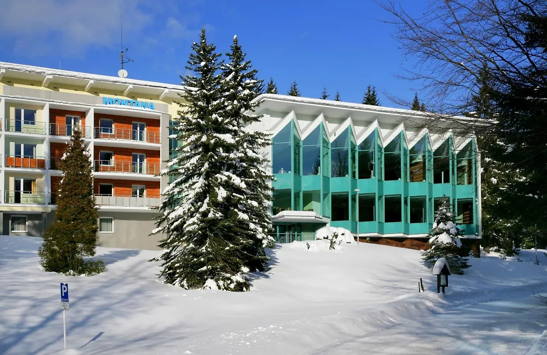 Horsky Hotel Montana-1