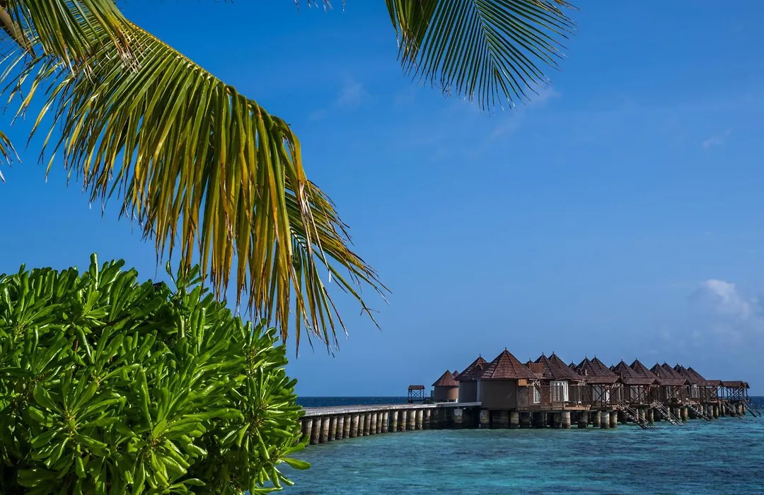 Nika Island Resort & Spa, Maldives-1