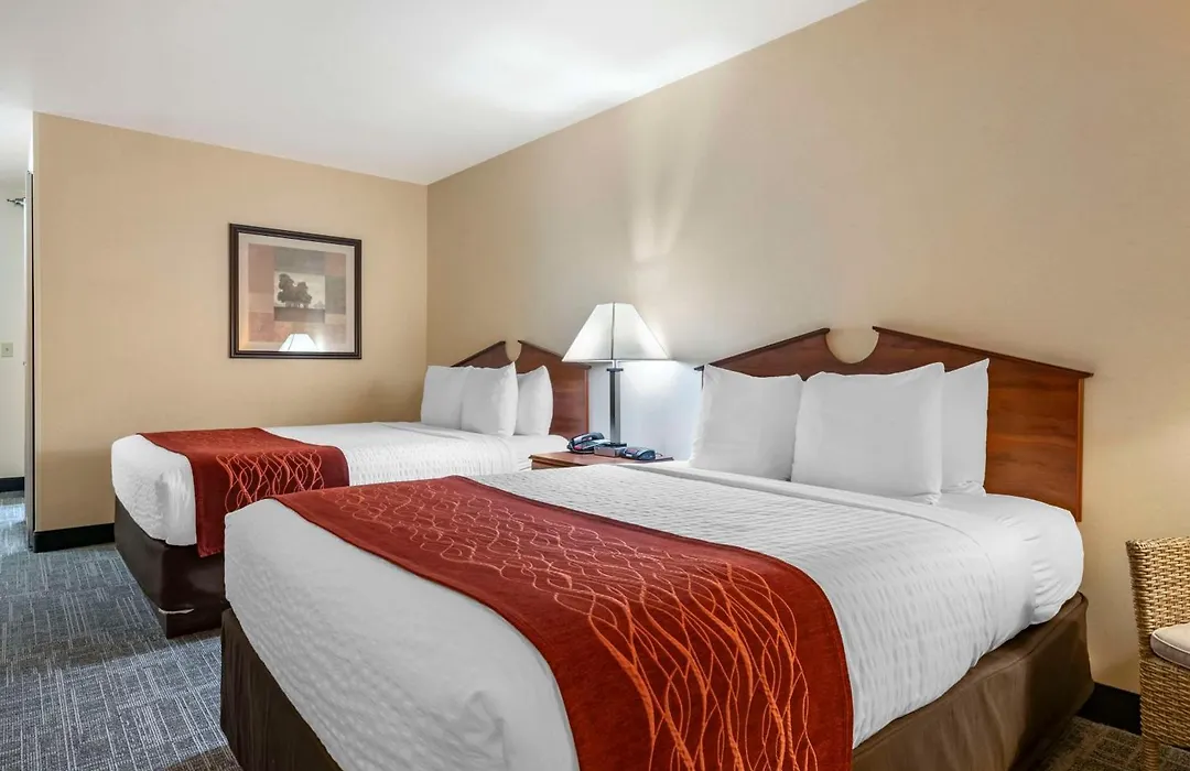 Surestay Plus Hotel By Best Western Buffalo-1