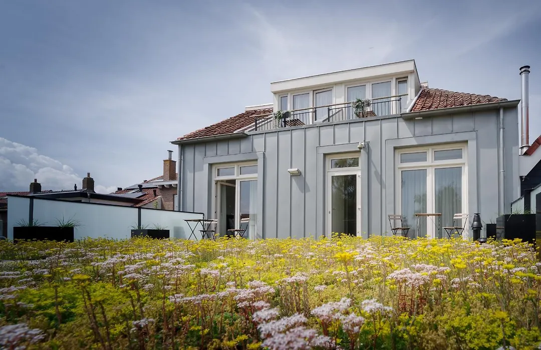 Hotel De Zilte Zeeuw-1