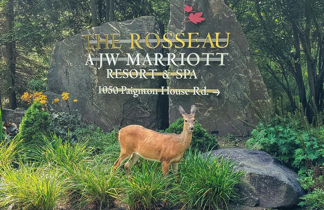 Jw Marriott The Rosseau Muskoka Resort & Spa-1