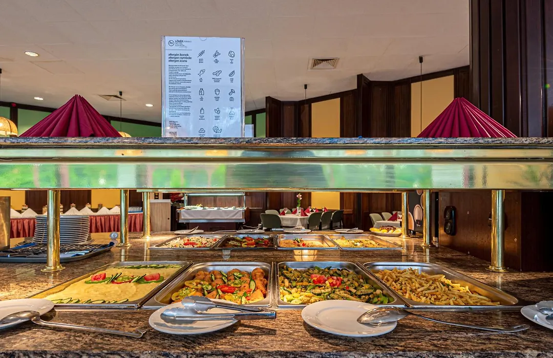Hotel Loever Sopron-1