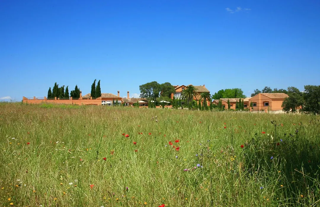 Hotel Valdepalacios Gourmand 5* GL-1