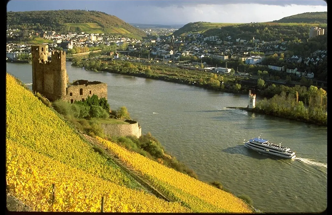 Rheinhotel Lamm-1
