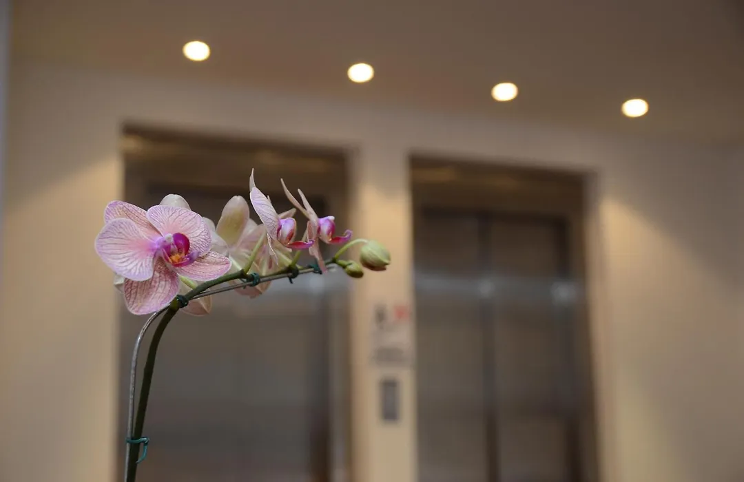 Grand Crucero Hotel-1