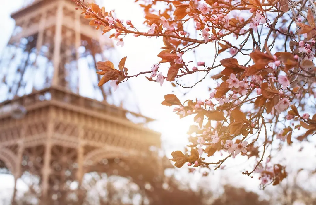 Timhotel Tour Eiffel-1