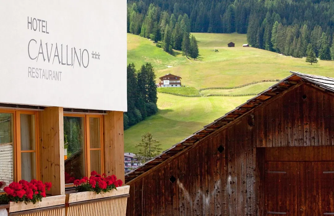 Hotel Cavallino-1