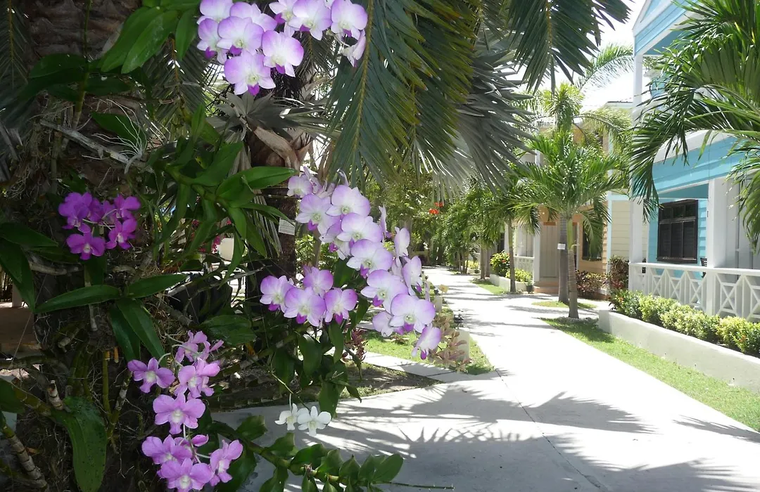 Buccaneer Beach Club-1