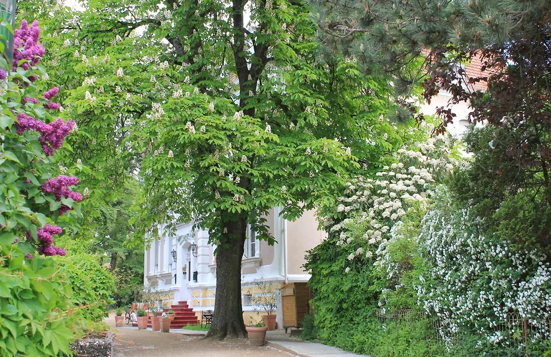 Hotel Waldfriede-1