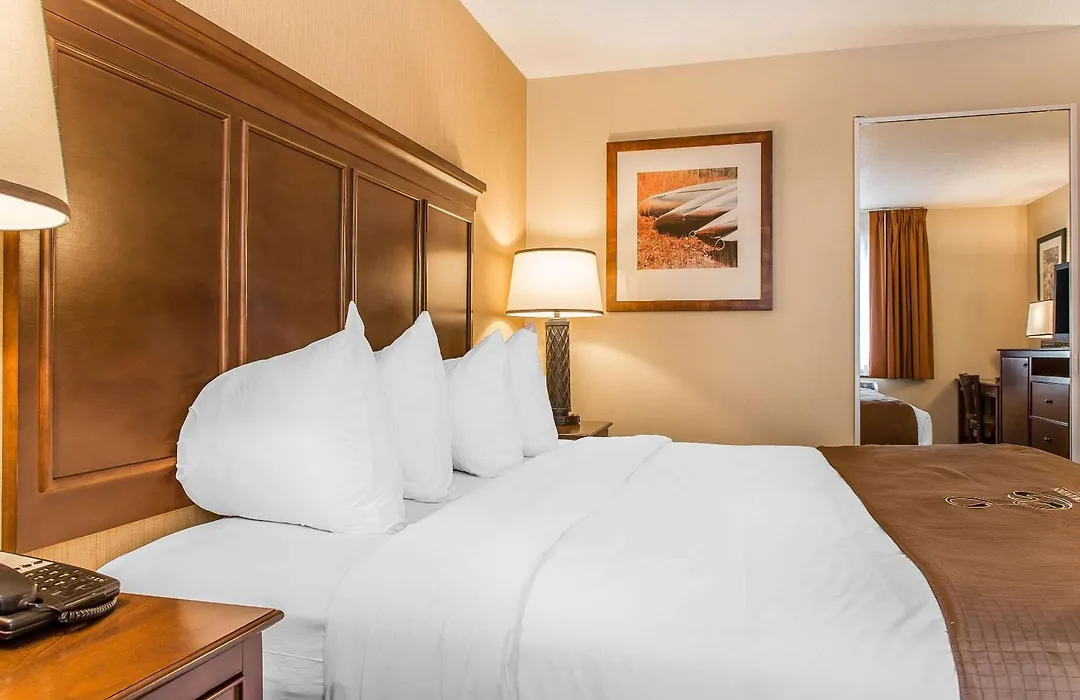 The Black Swan Lee - Lenox, An Ascend Collection Hotel-1