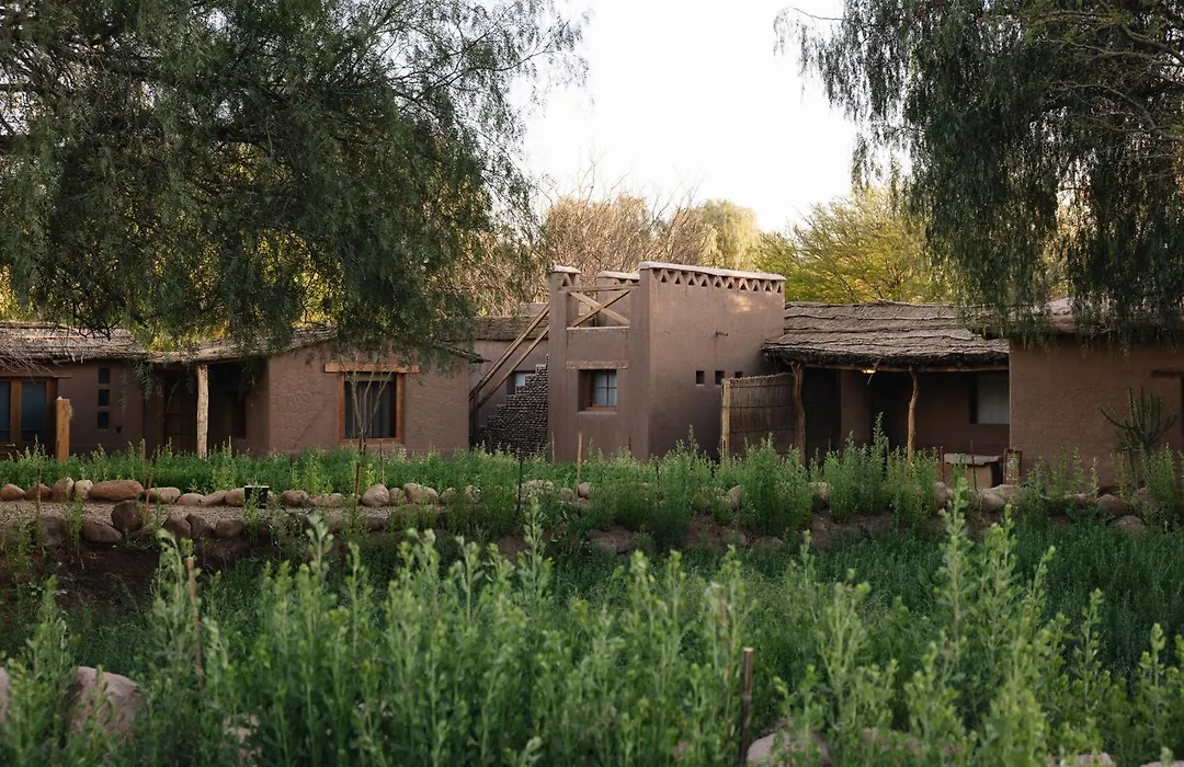 Our Habitas Atacama-1
