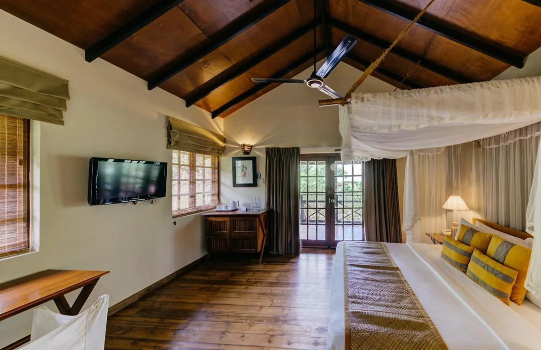 Cinnamon Wild Yala-1