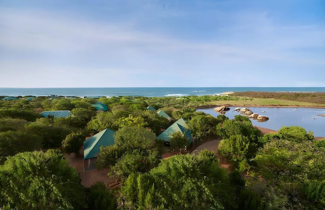 Cinnamon Wild Yala-1