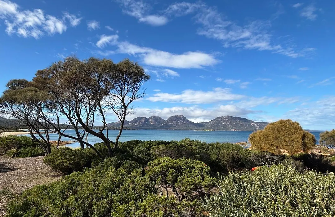Edge Of The Bay-1