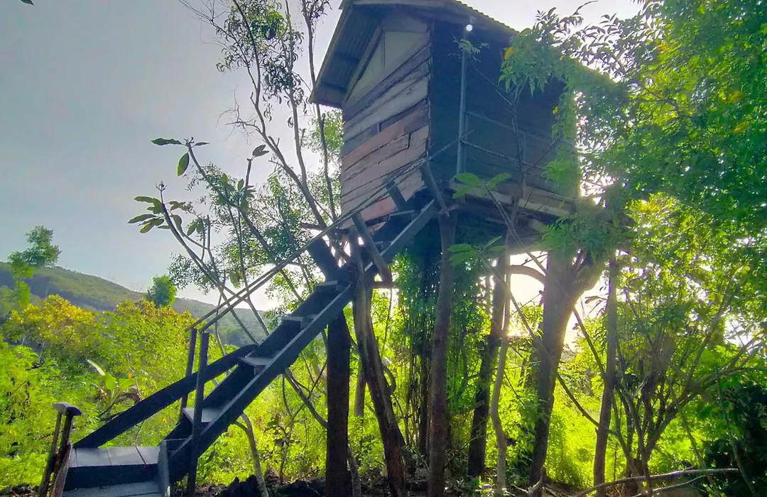 Rumah Pohon-1