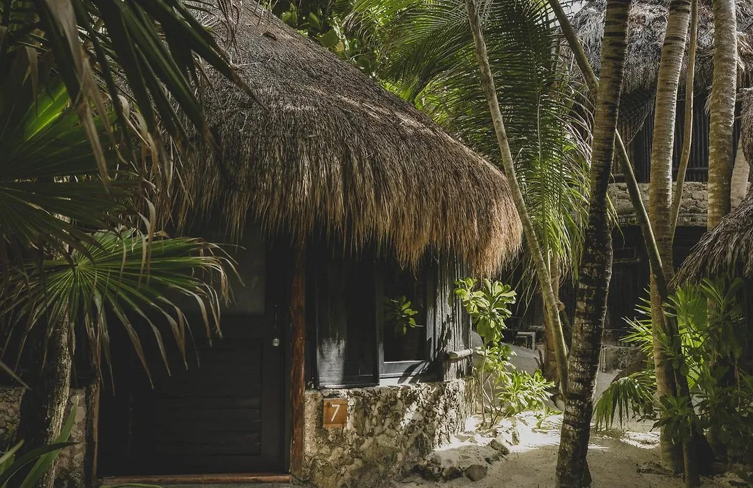 Diamante K - Inside Tulum National Park-1