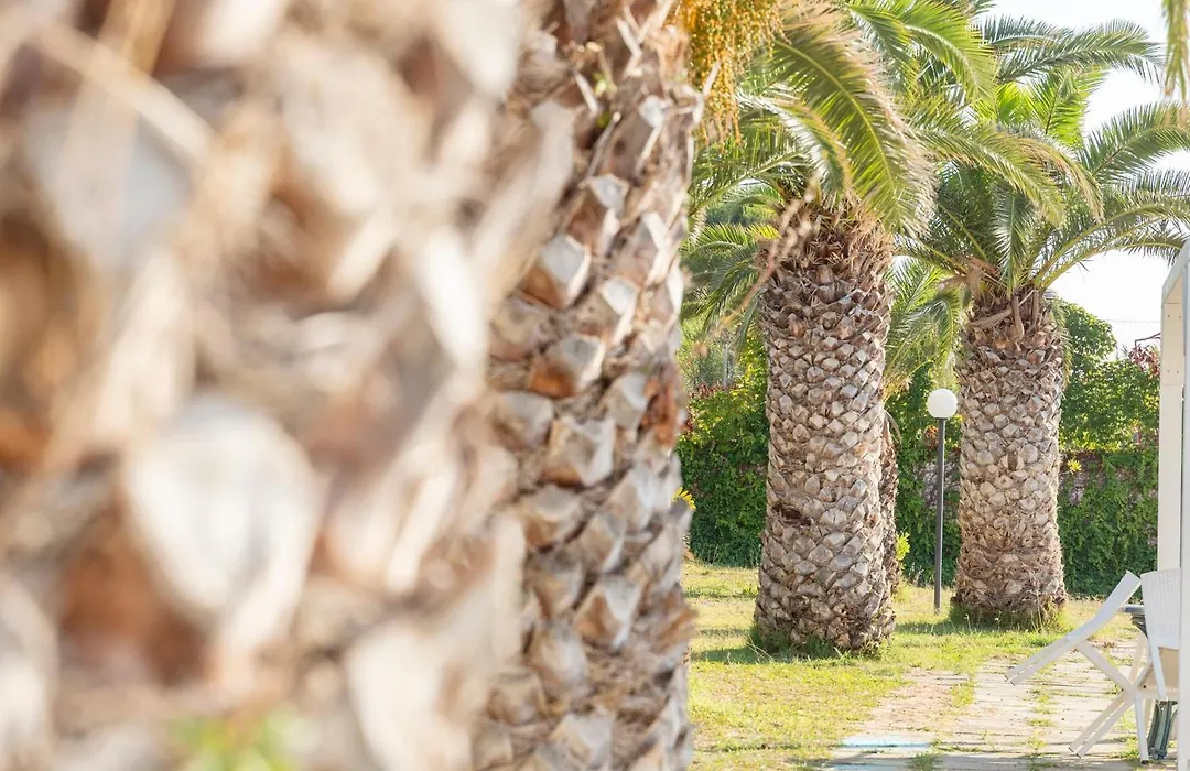 Il Poggio Di Tropea Villaggio Soft All Inclusive-1
