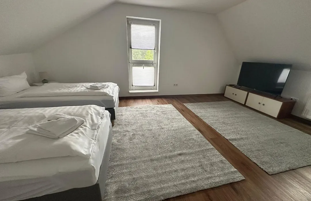 Hotel Luther Birke Wittenberg-1