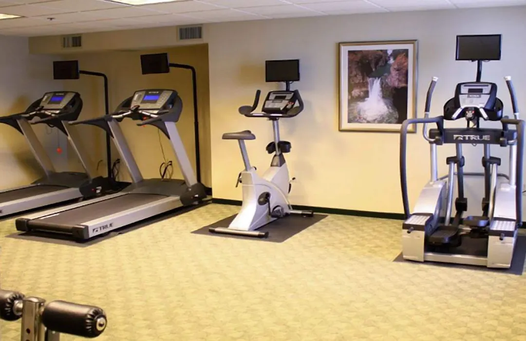 Ann Arbor Regent Hotel And Suites-1