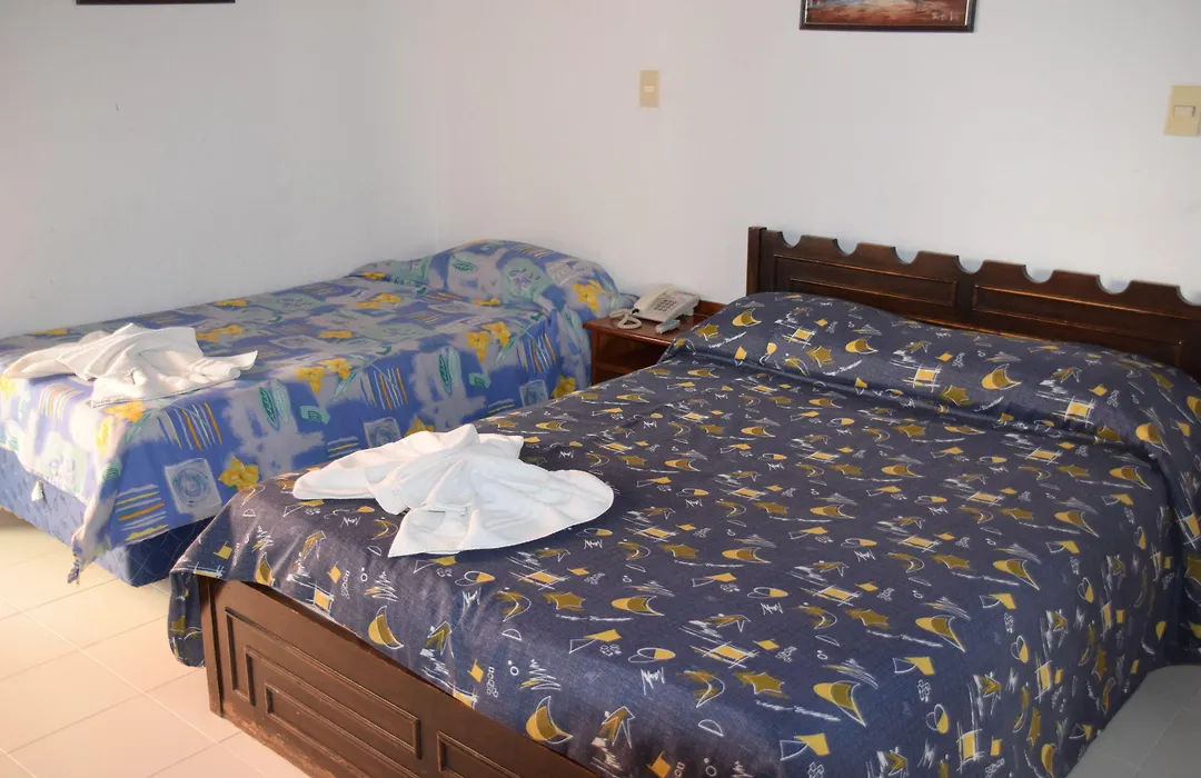Hotel Palmas del Sol-1