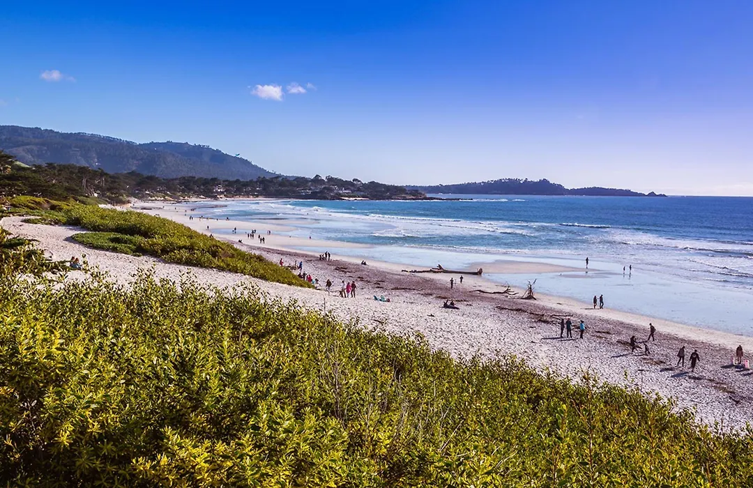 Tradewinds Carmel-1