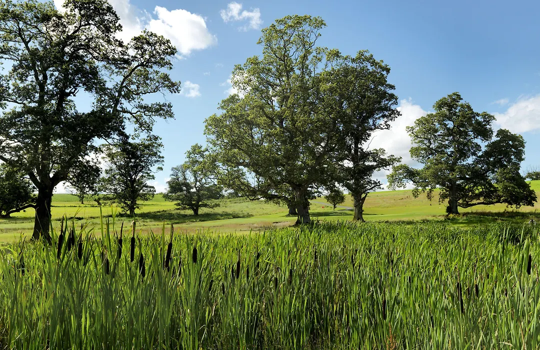 Farnham Estate Spa And Golf Resort-1