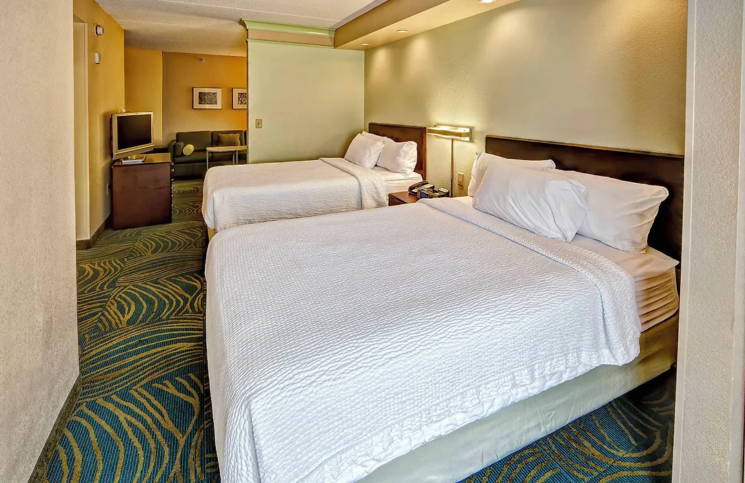 Springhill Suites Norfolk Old Dominion University-1