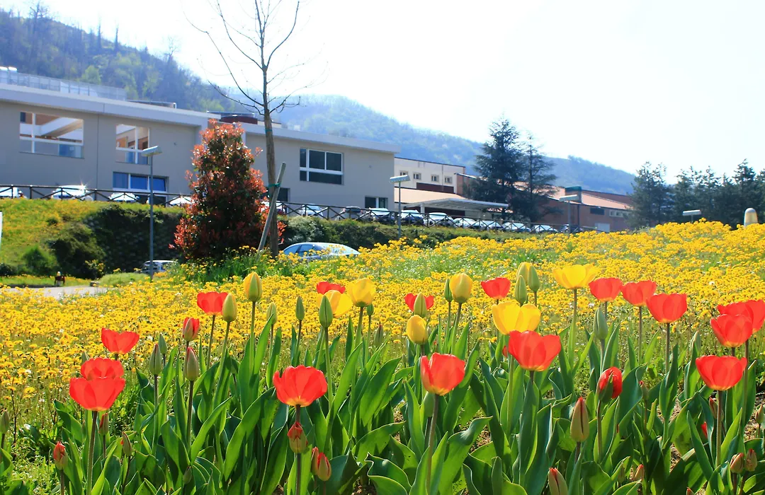 Admiral Park Hotel Bologna by Falco D'Oro Hotels-1