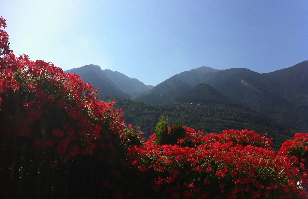 Hotel Pyrénées-1