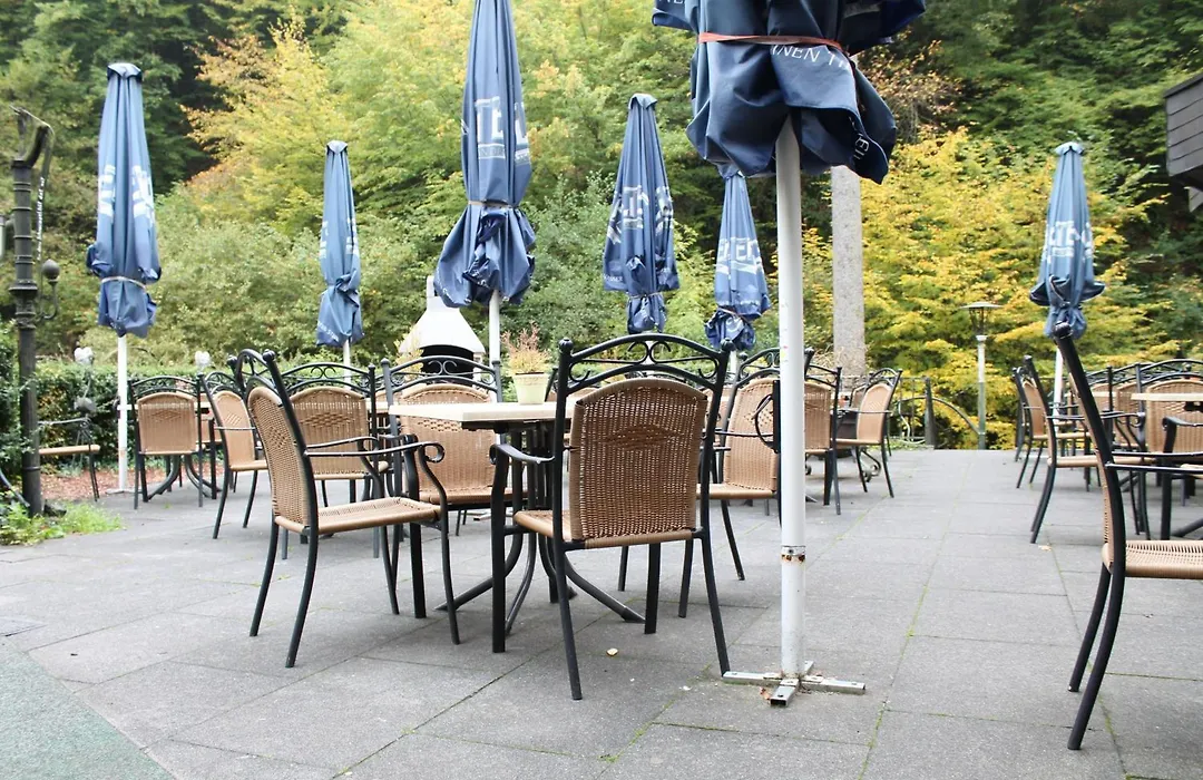 Moselromantik Hotel Weissmuehle-1