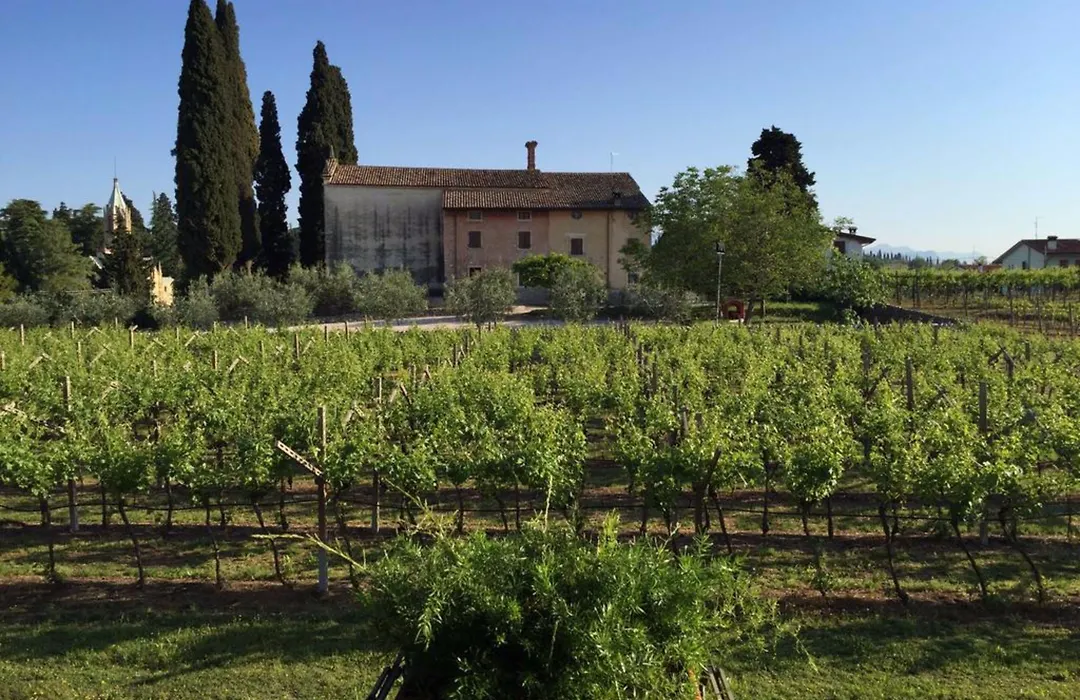 Parco Termale Di Villa Dei Cedri-1