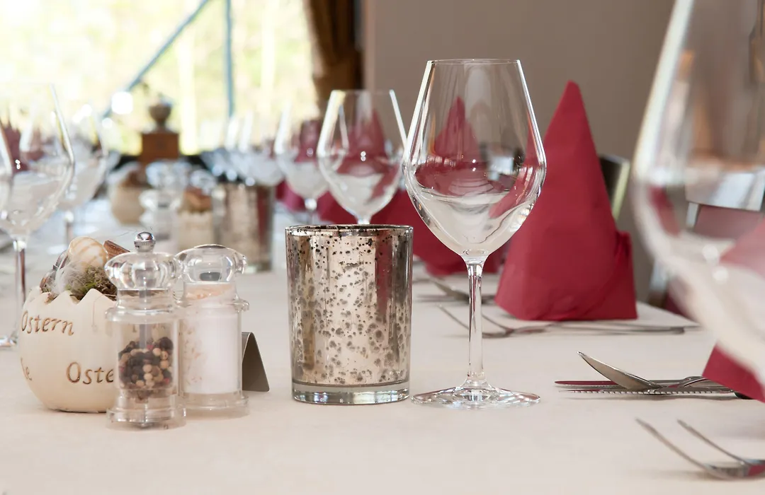 Hotel Restaurant Vijlerhof-1