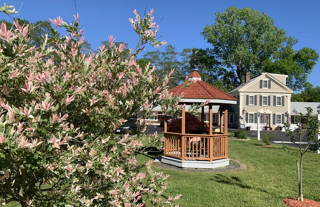 Eagle Wing Inn - Cape Cod-1