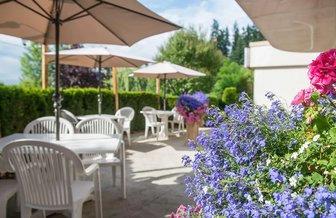 Hilltop Inn - Salmon Arm-1